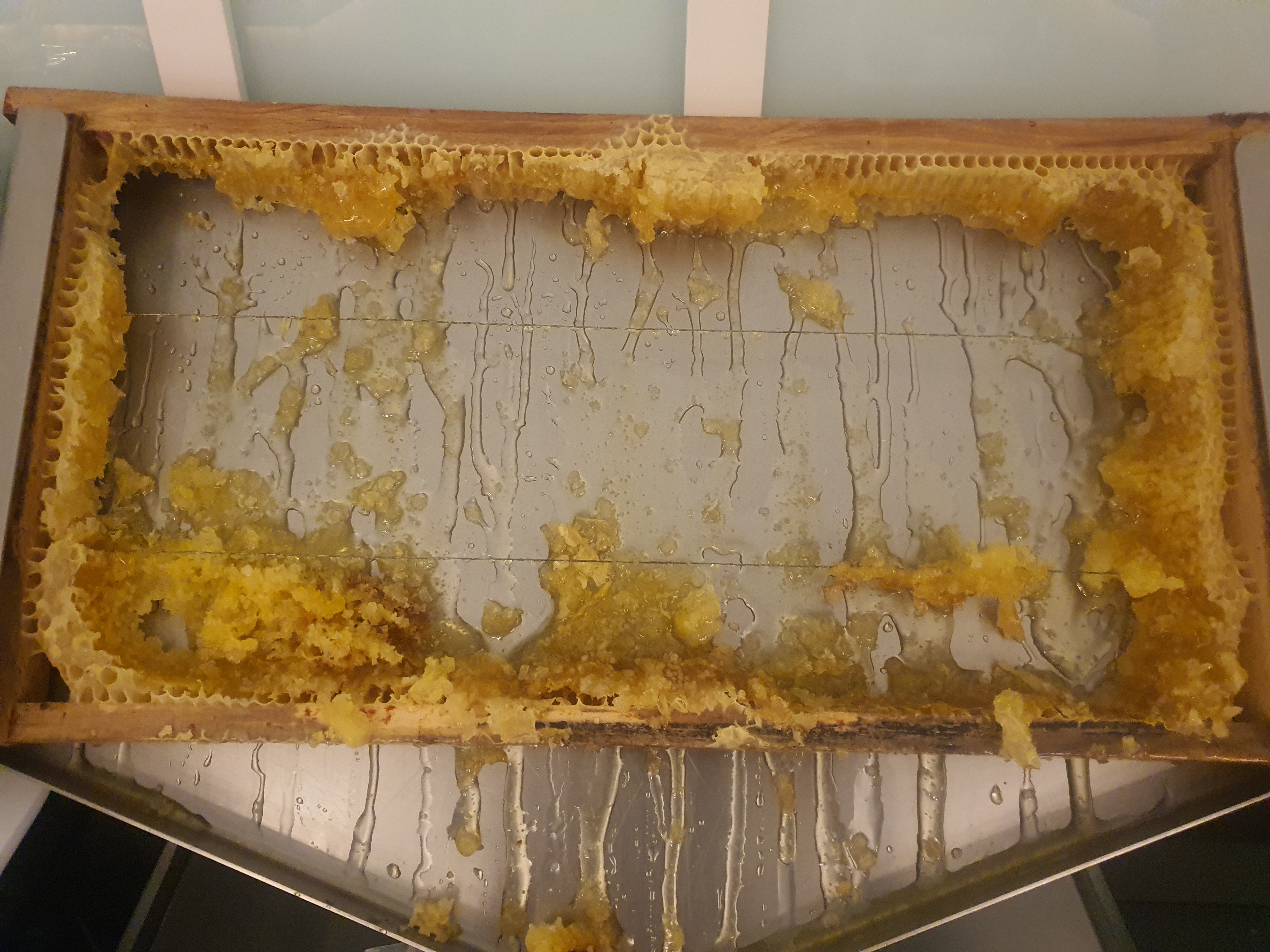 튀르키예 패키지(참좋은여행) - 6일차 MANISA DOUBLE TREE BY HILTON HOTEL