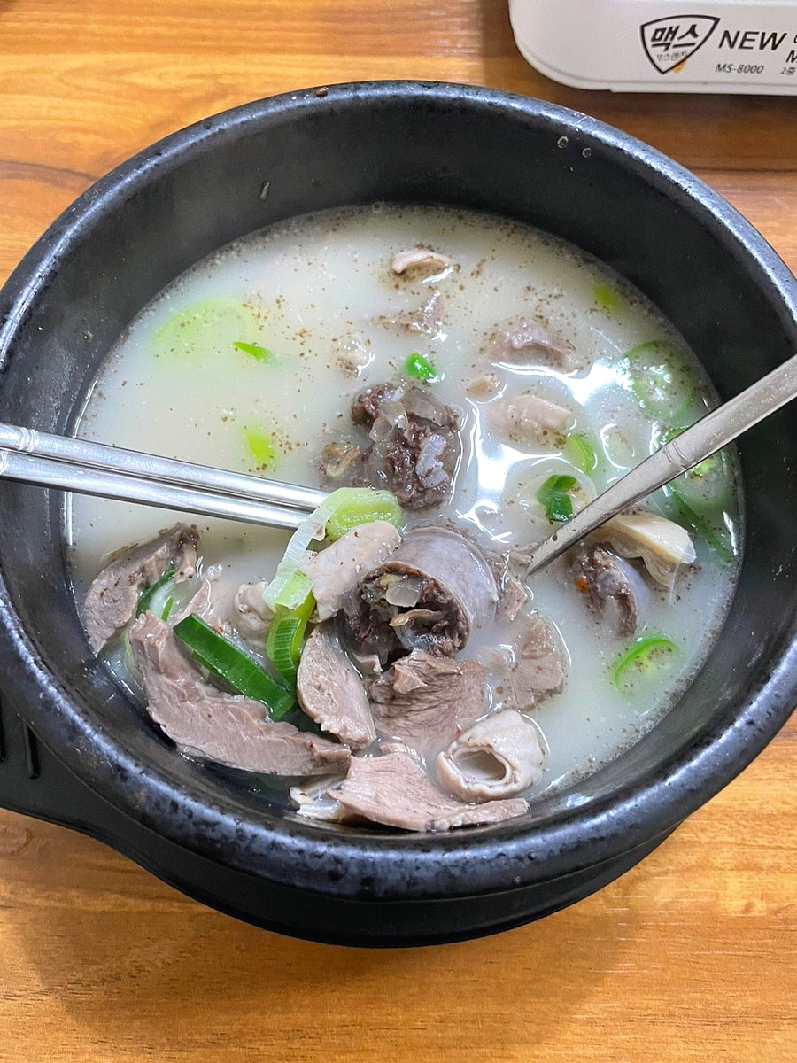 조박사 이미지