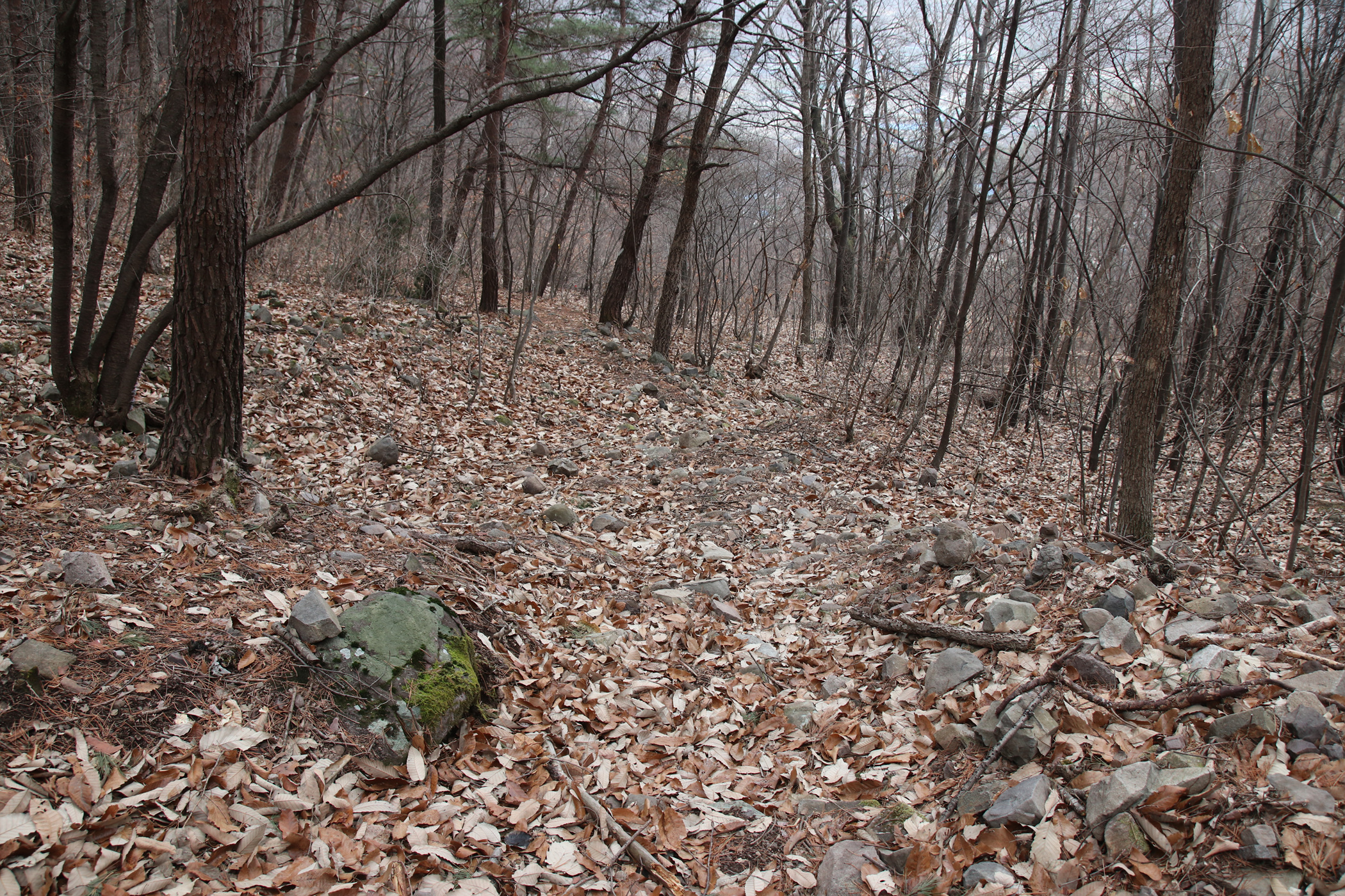 경남 의령군 국사봉 05 62
