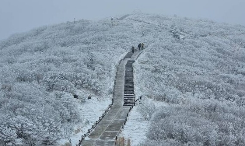 지리산 성삼재 주차장 위치 요금