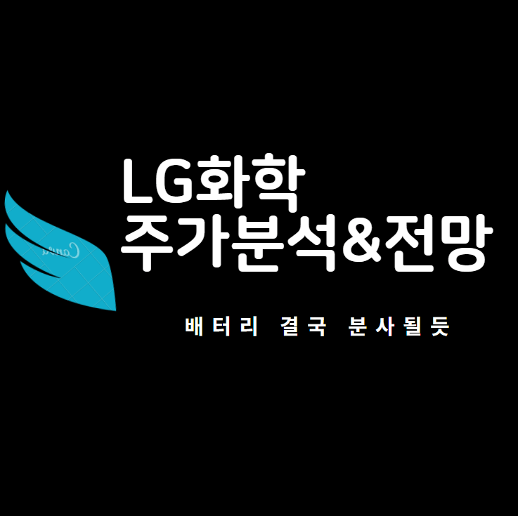 LG화학 주가 전망 및 실적 분석 (LG화학 분사 이슈)