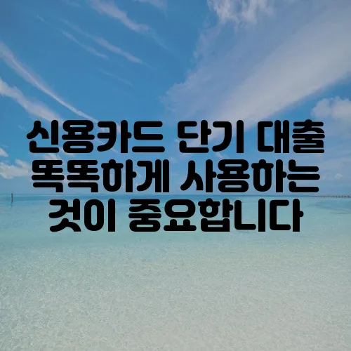 신용카드 단기 대출 똑똑하게 사용하는 것이 중요합니다