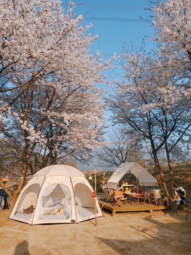 용인 반딧불 캠핑장 후기