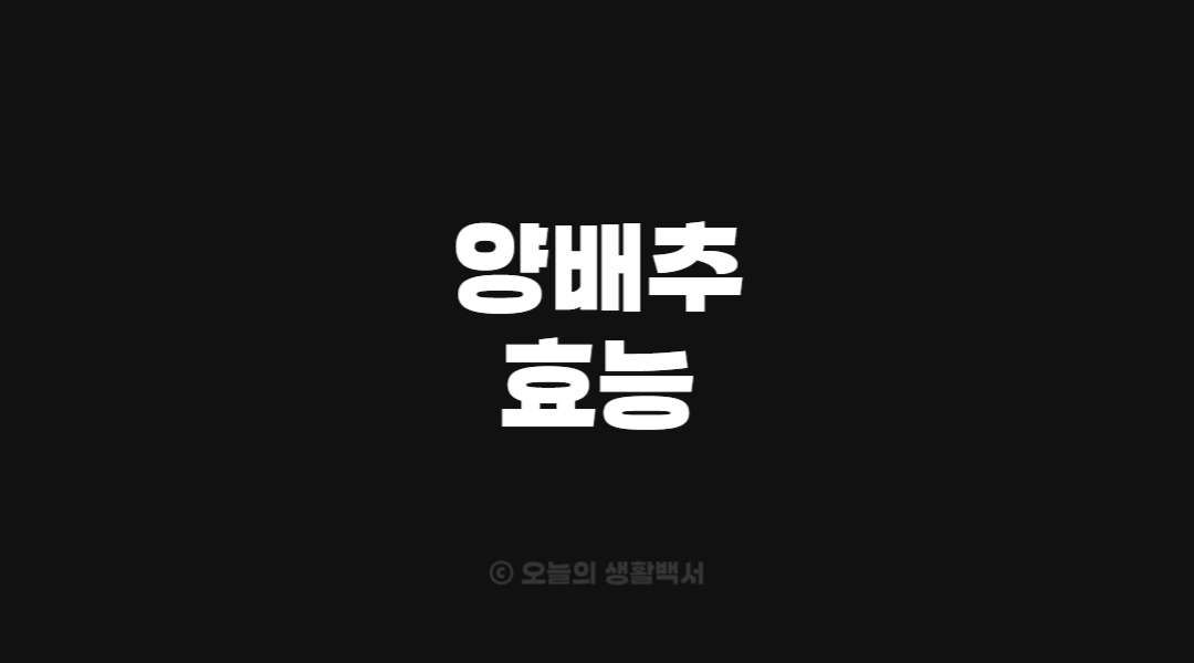 양배추 효능