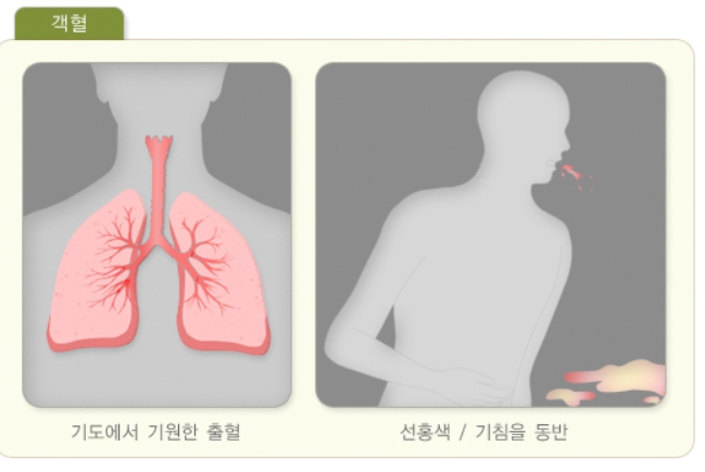 가래에 피가 섞여나오는 객혈 증상과 원인, 객혈과 토혈의 차이 :: 레이어플라이의 성장