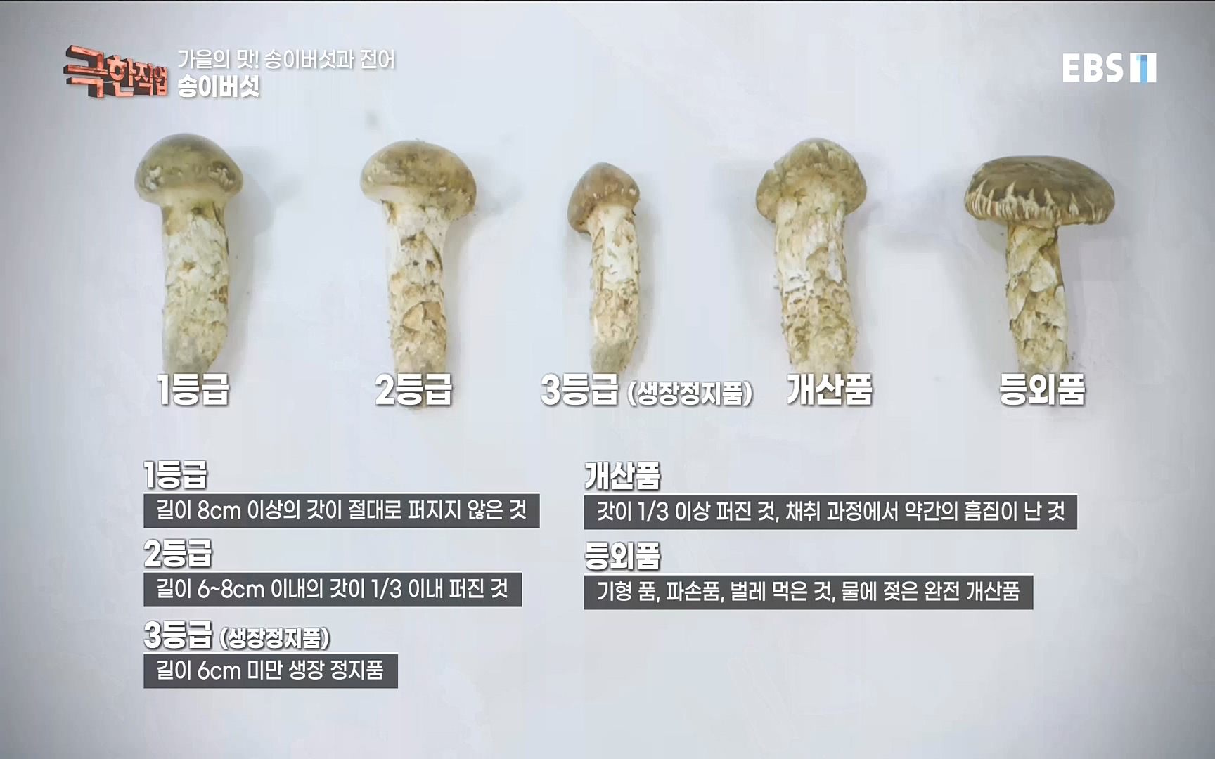송이버섯과 전어 221008.mp4_20221012_213438.849.jpg