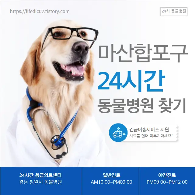  창원시 마산합포구 24시간 동물병원 찾기 근처 야간 일요일 고양이 병원 24곳