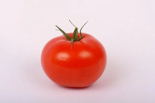 토마토