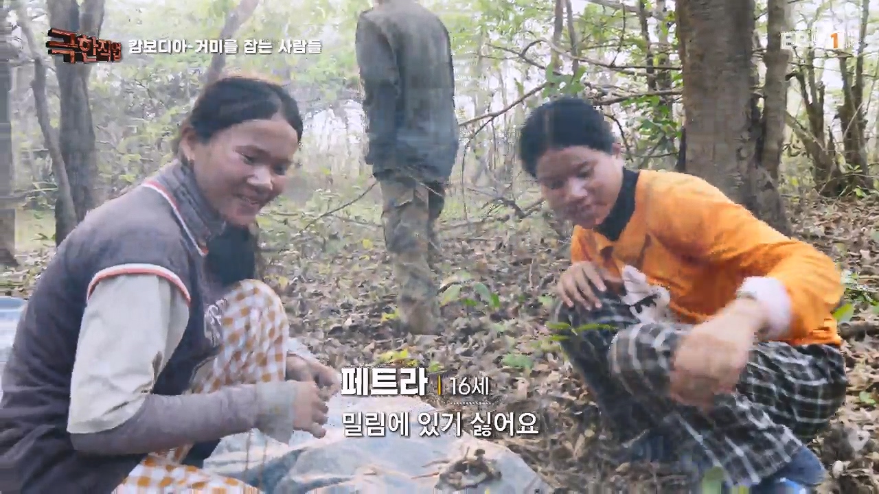 TV - 전 국민의 평생학교 EBS캄보디아 - 독충을 잡는 사람들.mp4_20230501_172918.975.jpg