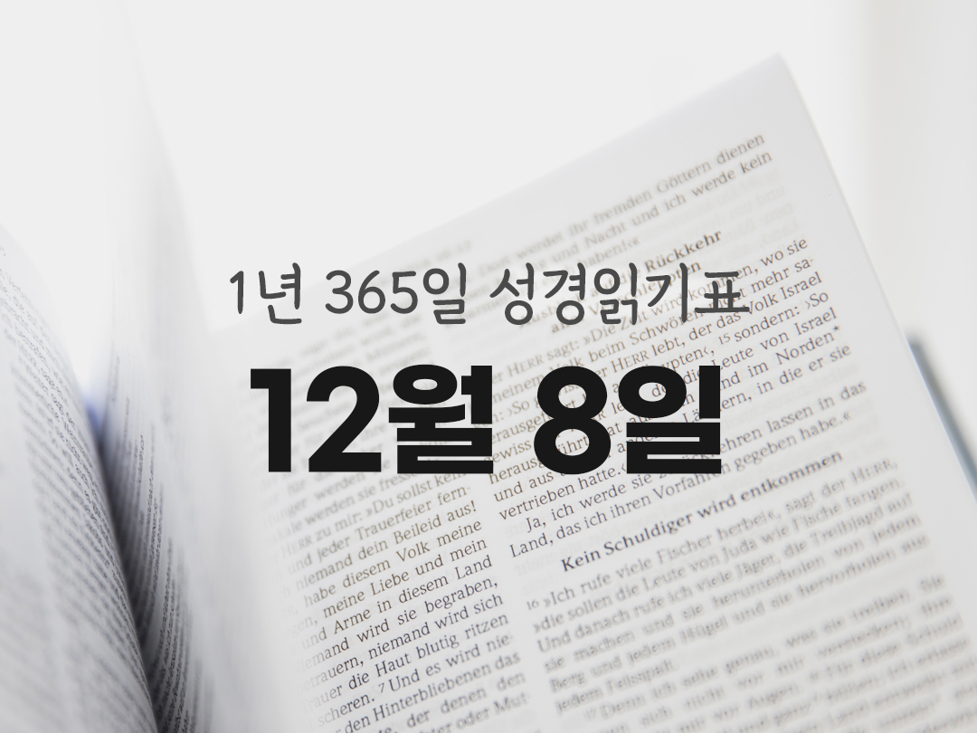 1년 365일 성경읽기표 12월 8일 에페소서 성경읽기 진도표 다운로드