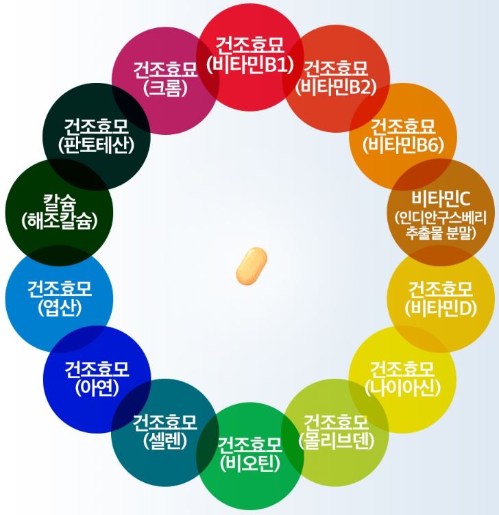 포뉴 종합비타민