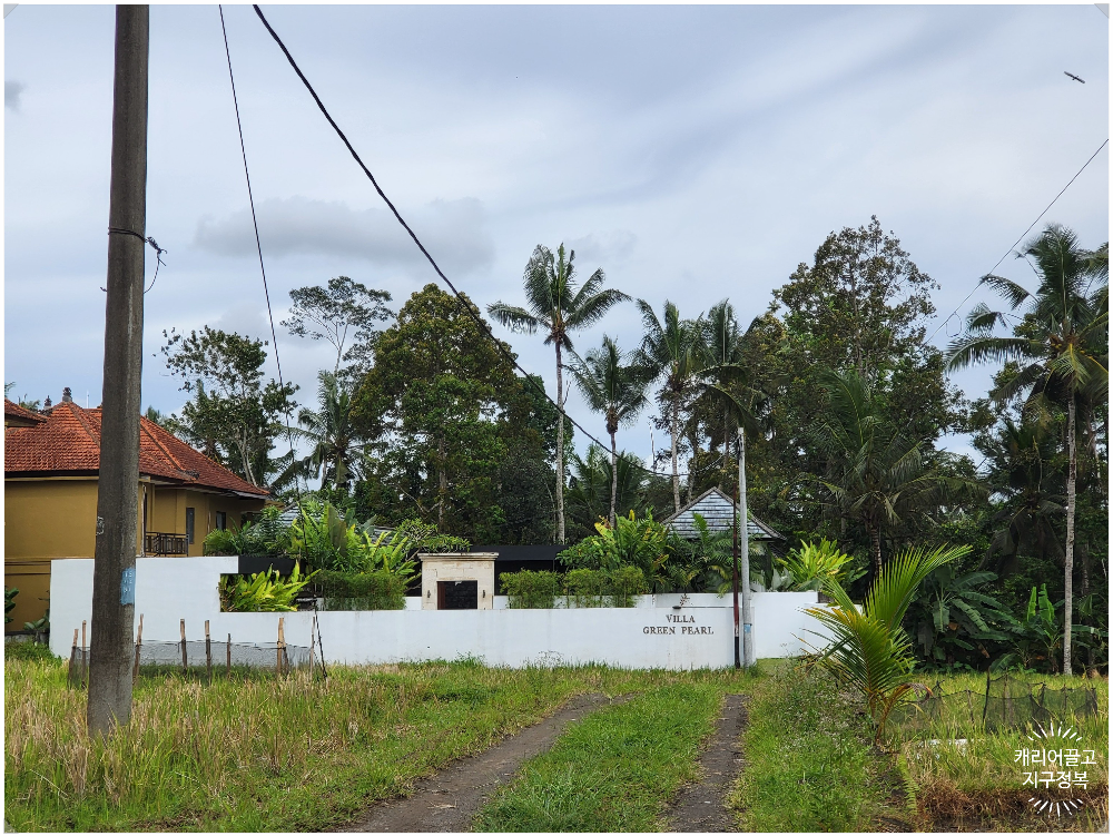 Ubud Villa Green Pearl