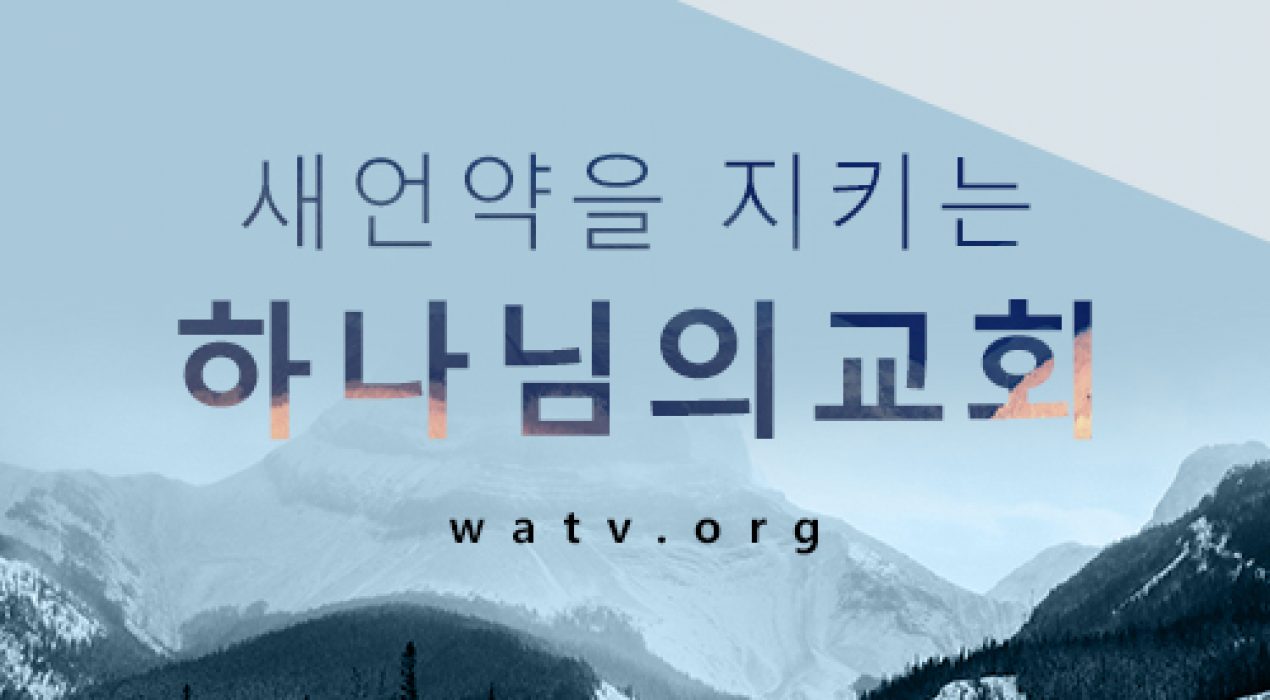 미쁘다 이미지