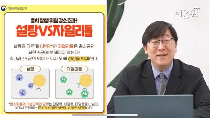 자일리톨가루