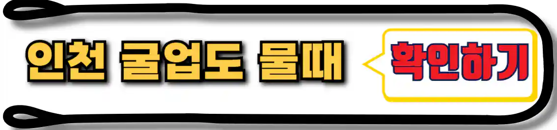 굴업도 물때