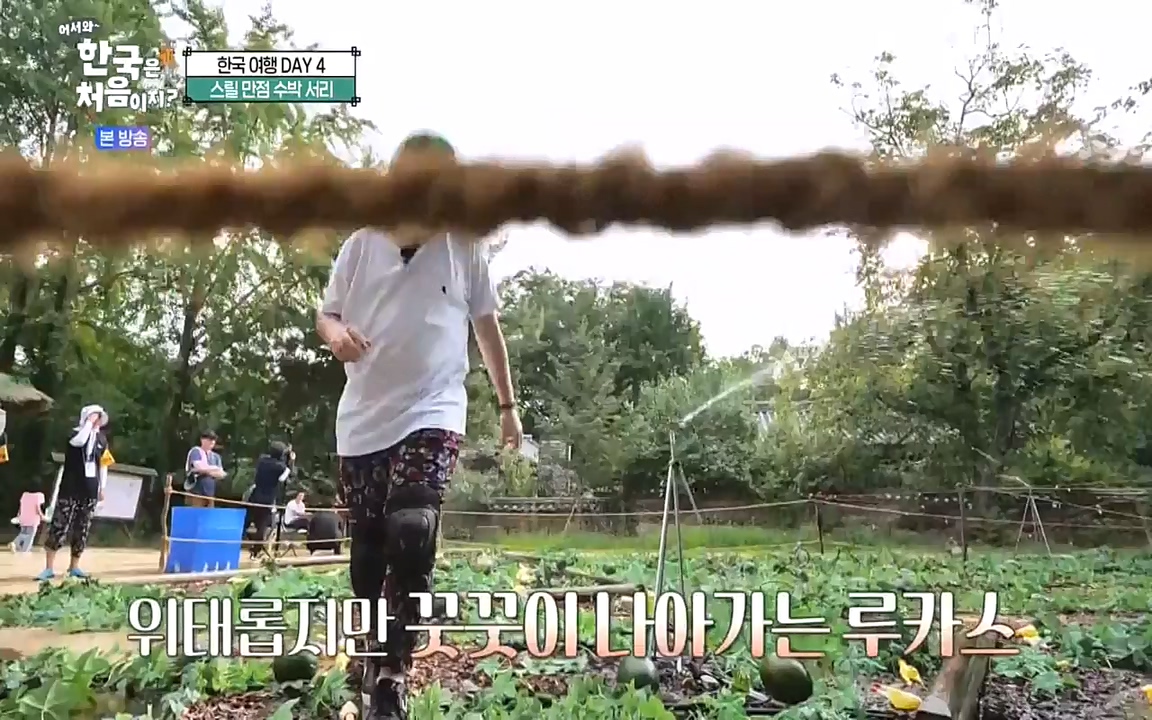 어서와 한국은 처음이지 시즌2.E230.220930p-NEXT.mp4_20220930_202243.250.jpg