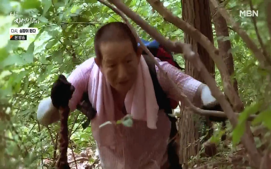 나는 자연인이다.E519.220915p-NEXT.mp4_20220915_201130.298.jpg