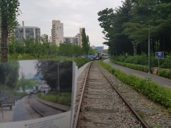  [노원구-숲이 좋은 길] 경춘선 숲길
