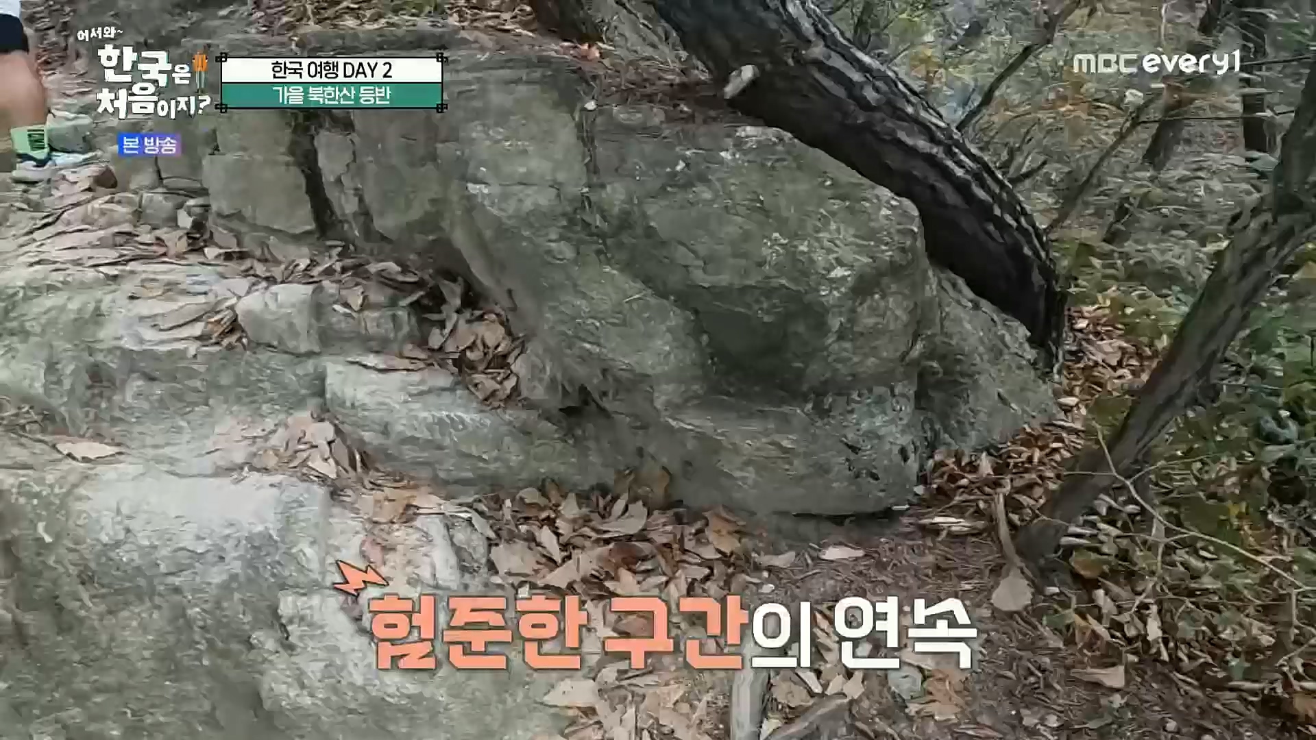 어서와~ 한국은 처음이지.E273.221208p.H264-F1RST.mp4_20221209_200226.585.jpg