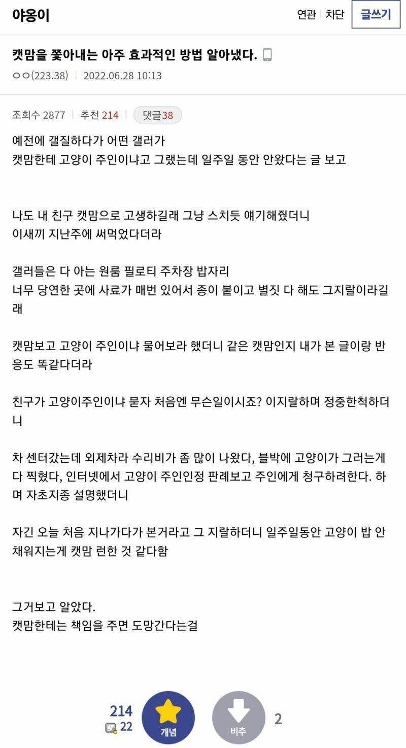  캣맘을 쫓아내는 효과적인 방법