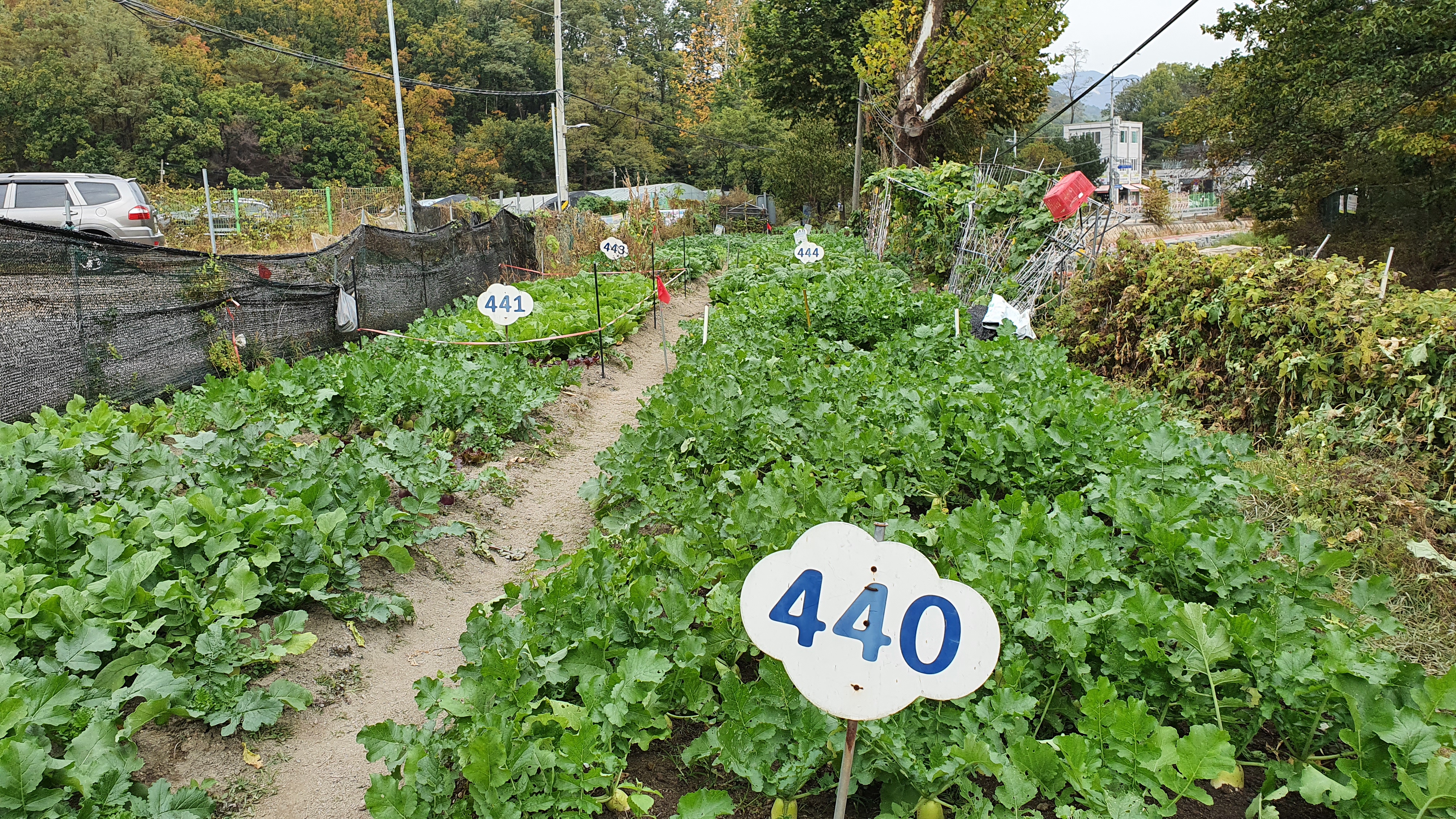 북한산 (2020-10-21) 2