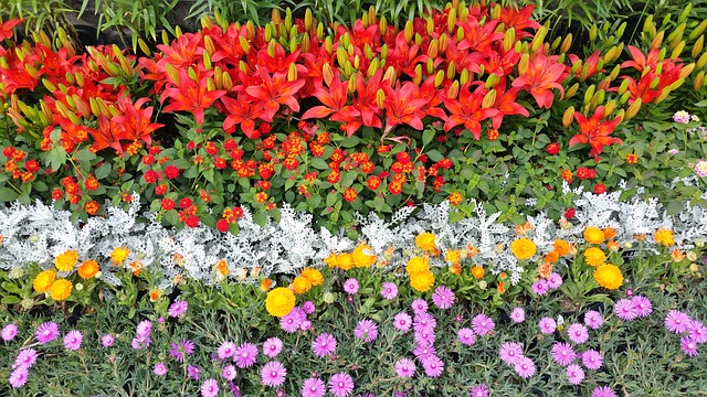 태화강-국가정원에-핀-꽃들