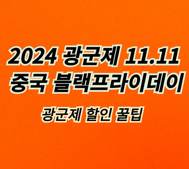 2024 광군제