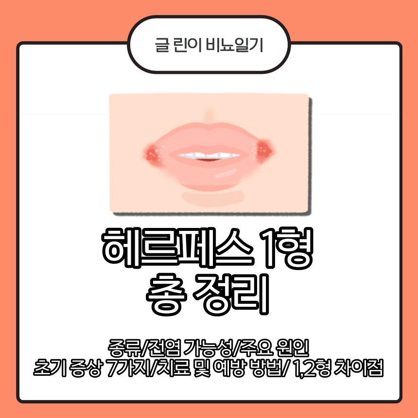  헤르페스 1형 총 정리