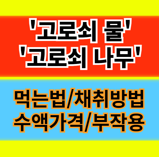 고로쇠물 효능 먹는법 고로쇠나무 수액 가격 채취방법 부작용 정보