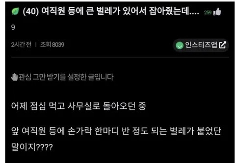 여직원 등에 큰 벌레가 있어서 잡아줬는데.. +후기