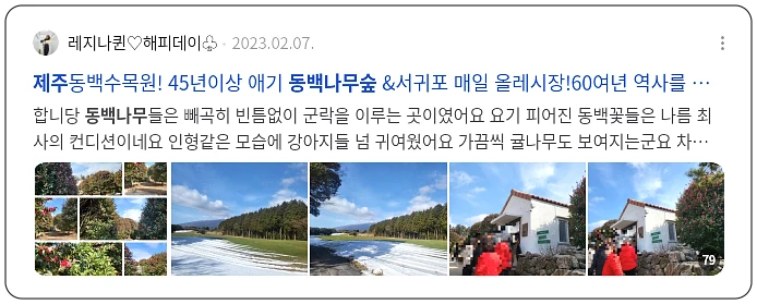 제주 동백나무숲_3_subsection