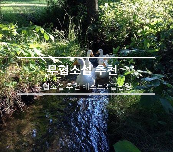  무협소설 추천 베스트3 끝판왕
