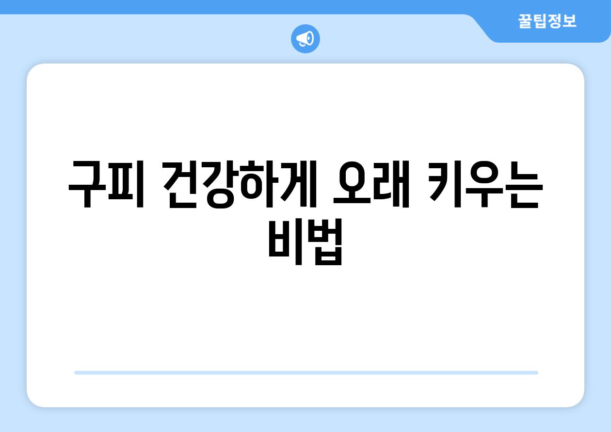 구피, 건강하게 오래 키우는 비법