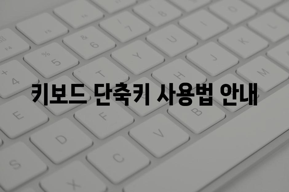 키보드 단축키 사용법 안내