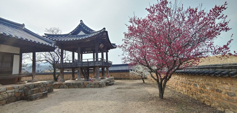  안동가볼만한곳 안동여행 안동하회마을 장점 vs 단점