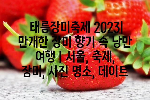 랜덤209