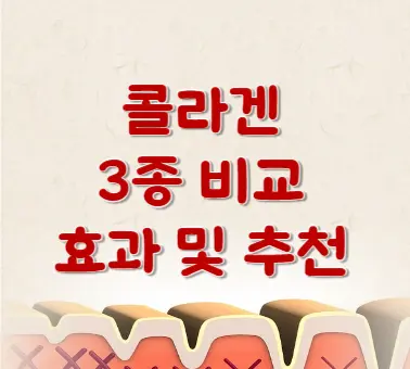 콜라겐 3종비교