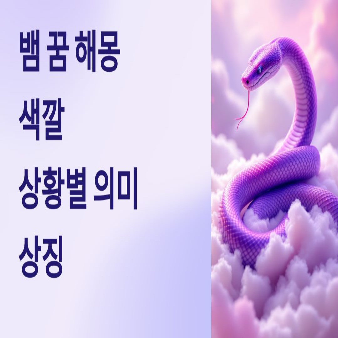 뱀 꿈 해몽과 색깔 상황별 의미와 상징