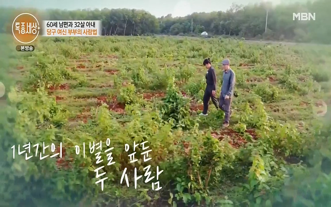 현장르포 특종세상.E528.220429p-NEXT.mp4_20220429_192024.337.jpg