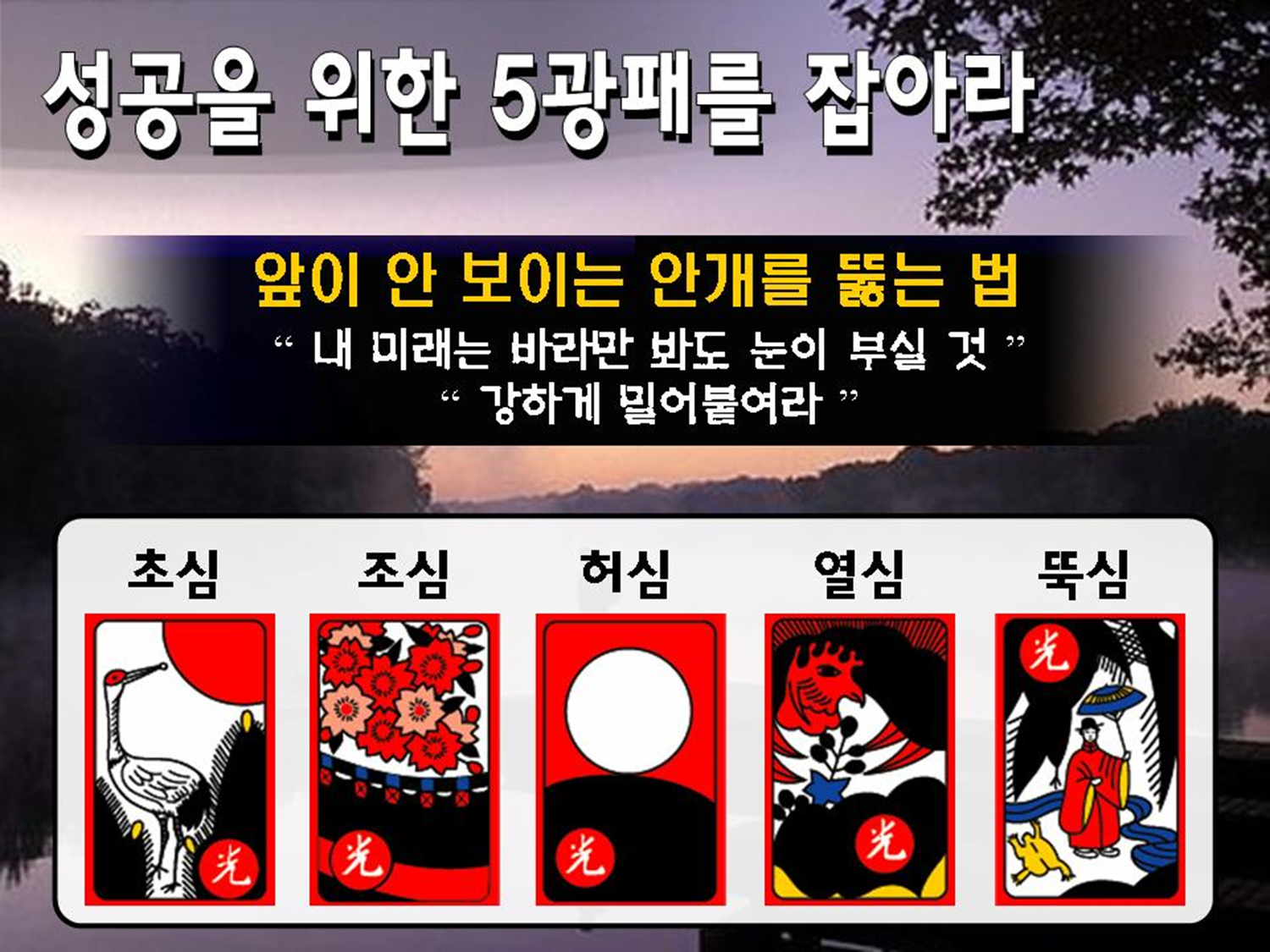  오광(일광,삼광,팔광,똥광,비광)을 잡아라