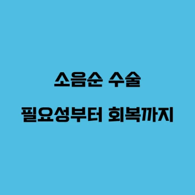  소음순 수술, 필요성부터 회복까지