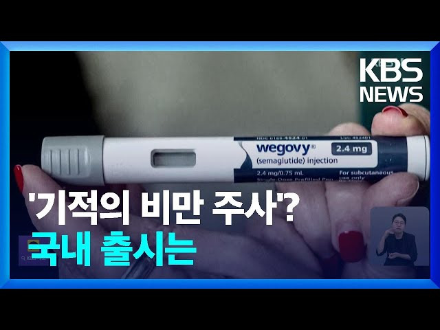 다이어트약 위고비 출시 임박 효과, 사용법 임상 결과 총정리