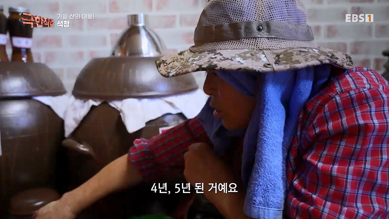 TV - 전 국민의 평생학교 EBS가을 산의 대물! 석청과 버섯.mp4_20230916_171655.874.jpg