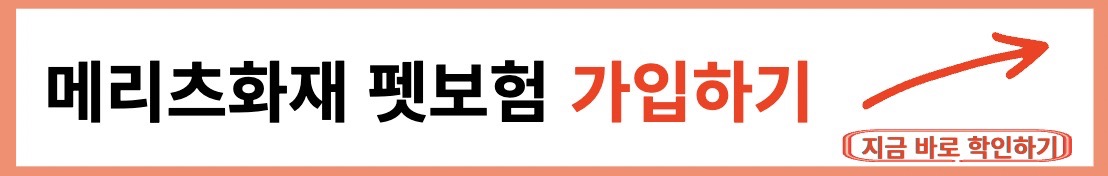 메리츠화재 펫보험 가격비교 및 가입