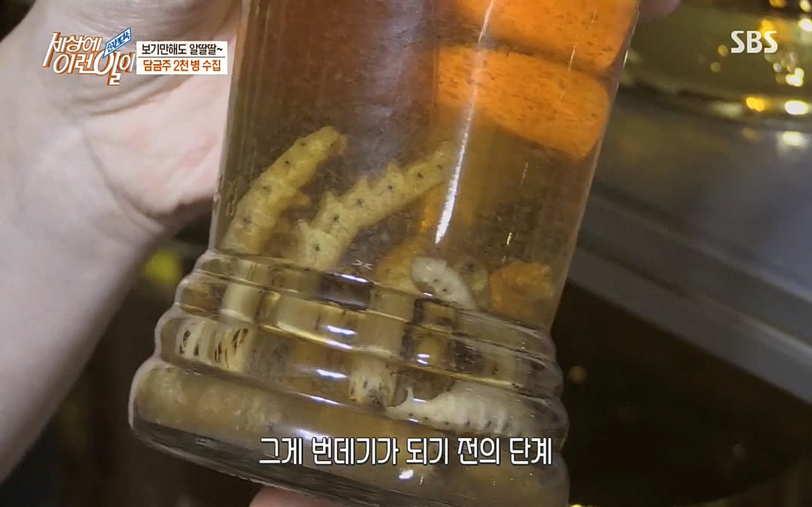 순간포착 세상에 이런일이.E1187.220706p-NEXT.mp4_20220706_202637.444.jpg