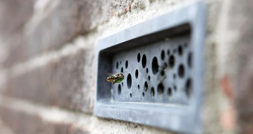 벌 보호를 위한 벽돌...도시계획법에 아예 규정화 Bee bricks become planning requirement for new buildings in Brighton