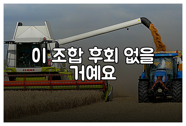이 조합 후회 없을 거예요