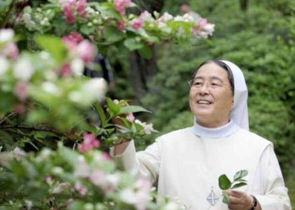 꽃나무를 바라보고 있는 이해인 수녀님 사진