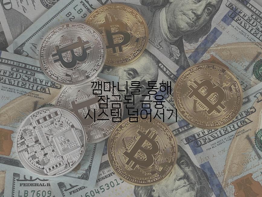 깸마니를 통해 잠금된 금융 시스템 넘어서기