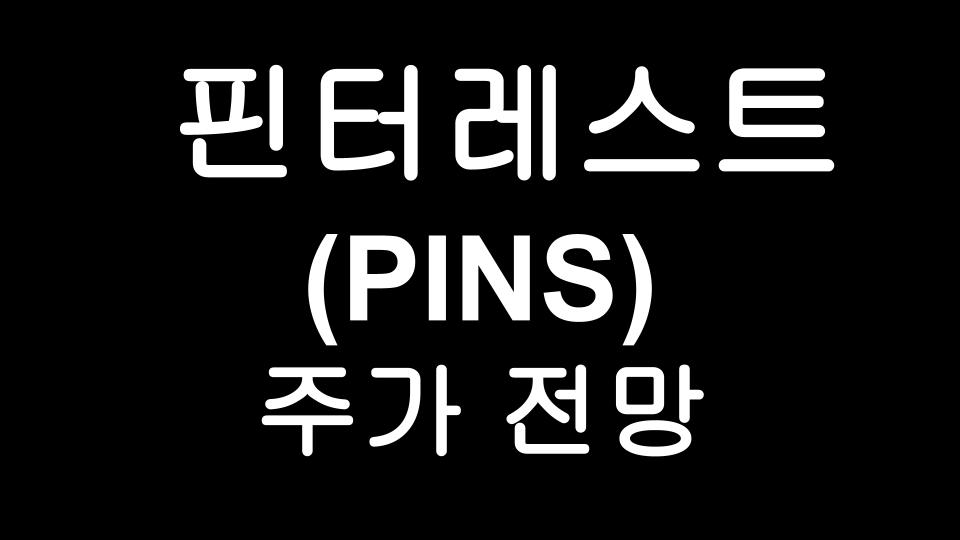  핀터레스트 (PINS) 주가 전망 - 페북과 마소가 눈독들이는 소셜미디어 기업 Pinterest